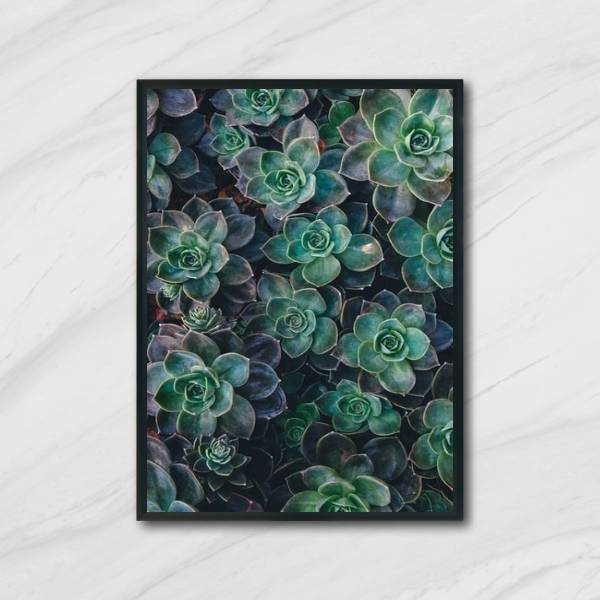 Quadro Fotografia Suculentas 33x24cm - Com Vidro Moldura:made
