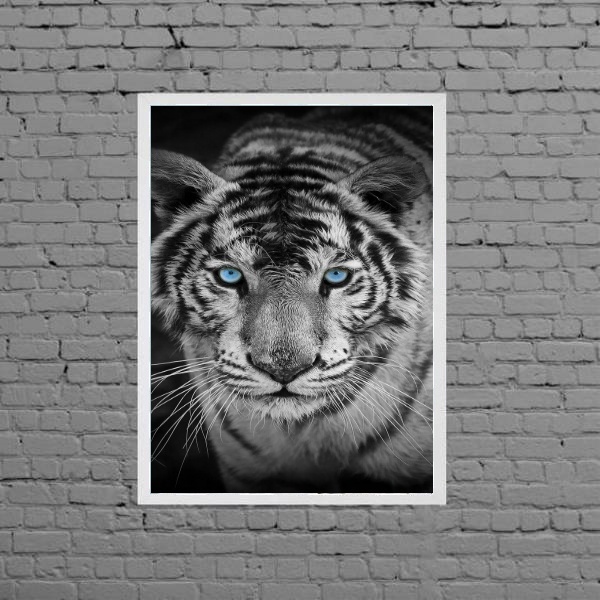 Quadro Fotografia Tigre Olho Azul 33x24cm - Com Vidro Moldura