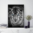Quadro Fotografia Tigre Olho Azul 33x24cm Moldura:madeira Bra