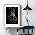 Quadro Fotografia Zebra - 60x48cm Moldura:madeira Preta
