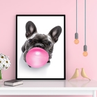 Quadro French Bulldog Bubble Gum 33x24cm - Com Vidro Moldura