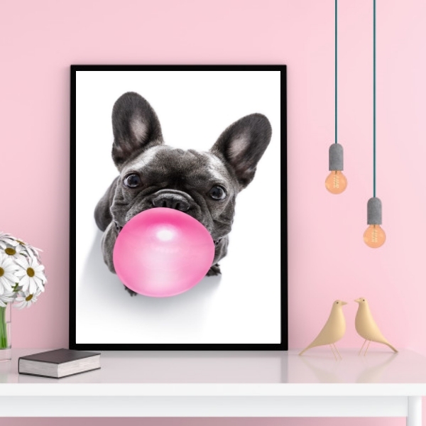 Quadro French Bulldog Bubble Gum 45x34cm Moldura Preta