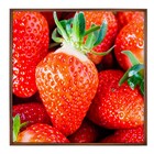 Quadro Frutas Vermelho com Vidro 50x50cm Arte Própria