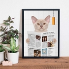 Quadro Gato No Banheiro Com Jornal 33x24cm - Com Vidro Moldur