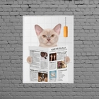 Quadro Gato No Banheiro Com Jornal 45x34cm Moldura:madeira Pr