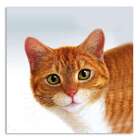 Quadro Gato Uniart Amarelo 30x30cm