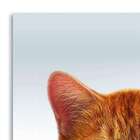 Quadro Gato Uniart Amarelo 30x30cm