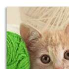 Quadro Gato Uniart Branco 30x30cm