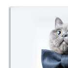 Quadro Gato Uniart Cinza 30x30cm