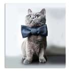 Quadro Gato Uniart Cinza 30x30cm