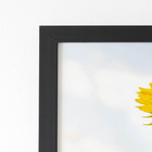 Quadro Girassol Flor Fotografia Céu Moldura Preta 60x40cm