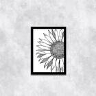 Quadro Girassol Preto E Branco 24x18cm Moldura:madeira Branca