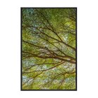 Quadro Grande Árvores Paisagem Sala Cozinha Grande