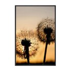 Quadro Grande Decorativo Dente De Leão Planta Sala Moldura