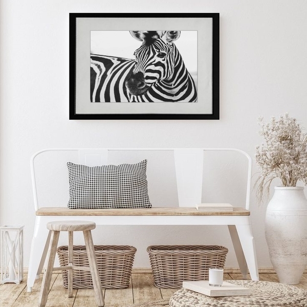 Quadro Horizontal Zebra - 60x48cm Moldura:madeira Branca