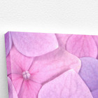 Quadro Hortênsias Roxas E Rosas Fotografia  60x40cm