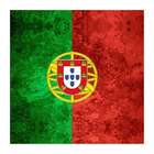 Quadro Impressão Digital Bandeira De Portugal 45x45