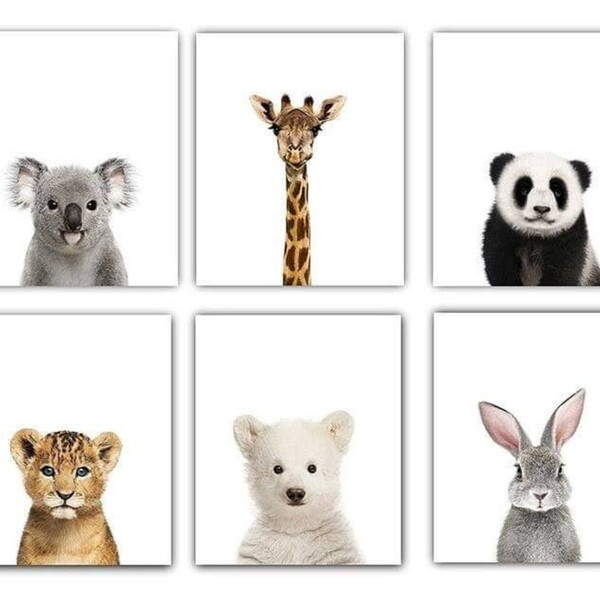 Quadro Infantil Safari 6 Un A4 Vidro E Pendurador