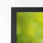 Quadro Jasmim-árabe Flor Branca Moldura Preta 60x40cm