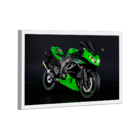 Quadro Kawasaki Ninja Verde -- Br Artes