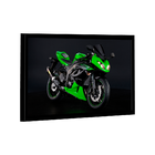 Quadro Kawasaki Ninja Verde -- Br Artes