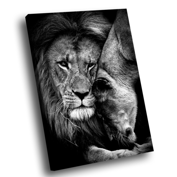 Quadro King And Queen -- Br Artes Médio 84x54