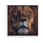 Quadro Leão 1x1m Dourado Arte Própria