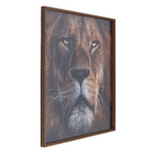 Quadro Leão 1x1m Dourado Arte Própria