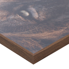 Quadro Leão 1x1m Dourado Arte Própria