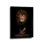 Quadro Leão Assente -- Br Artes