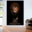 Quadro Leão Assente -- Br Artes