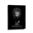 Quadro Leão Assente Pb -- Br Artes