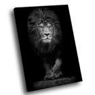 Quadro Leão Assente Pb -- Br Artes Pequeno 60x40