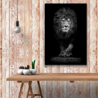 Quadro Leão Assente Pb -- Br Artes Pequeno 60x40
