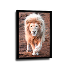 Quadro Leão Branco -- Br Artes