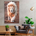 Quadro Leão Branco -- Br Artes Médio 84x54