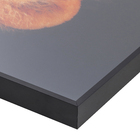 Quadro Leão Bronze 100x100cm