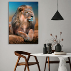 Quadro Leão Distraído -- Br Artes