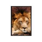 Quadro Leão Juba 120x80 - Casa Da Moldura