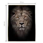Quadro Leão Lion Preto E Dourado 75x100cm