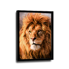 Quadro Leão Majestoso -- Br Artes