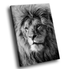 Quadro Leão Majestoso Pb -- Br Artes