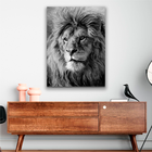 Quadro Leão Majestoso Pb -- Br Artes