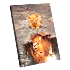 Quadro Leão Mindset -- Br Artes Pequeno 60x40