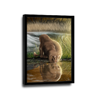 Quadro Leão Natureza -- Br Artes