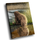 Quadro Leão Natureza -- Br Artes Pequeno 60x40