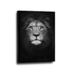 Quadro Leão No Preto  -- Br Artes