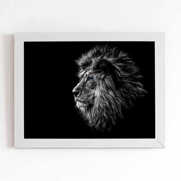 Quadro Leão Olho Azul Tons De Cinza Moldura Branca 60x40cm