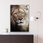 Quadro Leão Olhos Azuis -- Br Artes Grande 118x78