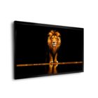 Quadro Leão Ouro -- Br Artes